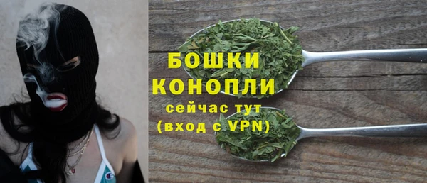 эйфоретик Баксан