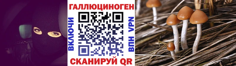 где купить наркотик Кушва MEGA сайт Галлюциногенные грибы GOLDEN TEACHER